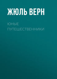 бесплатно читать книгу Юные путешественники автора Жюль Верн