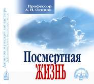 бесплатно читать книгу Посмертная жизнь автора Алексей Осипов