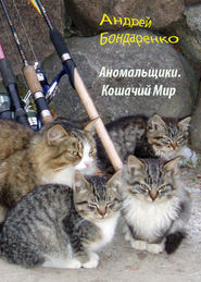 бесплатно читать книгу Кошачий Мир автора Андрей Бондаренко