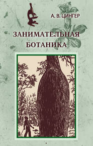 бесплатно читать книгу Занимательная ботаника автора Александр Цингер