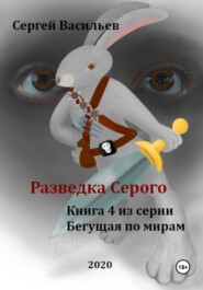бесплатно читать книгу Разведка Серого автора Сергей Васильев