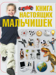 бесплатно читать книгу Книга настоящих мальчишек автора Ольга Бортник