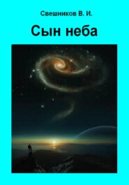 бесплатно читать книгу Сын неба автора Виктор Свешников