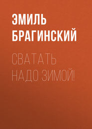 бесплатно читать книгу Сватать надо зимой! автора Эмиль Брагинский