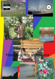 бесплатно читать книгу Находка, что изменила жизнь автора Григорий Цуриков