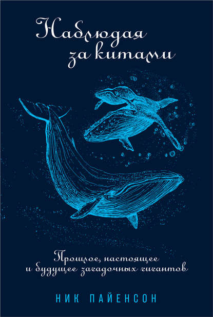 бесплатно читать книгу Наблюдая за китами автора Ник Пайенсон