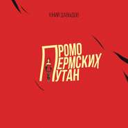 бесплатно читать книгу Промо пермских путан автора Юний Давыдов