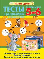 бесплатно читать книгу Тесты и развивающие упражнения для малышей 5-6 лет. Знакомство с окружающим миром. Основы грамоты. Развитие мелкой моторики и речи автора Александра Струк