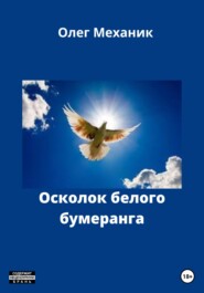 бесплатно читать книгу Осколок белого бумеранга автора Олег Механик