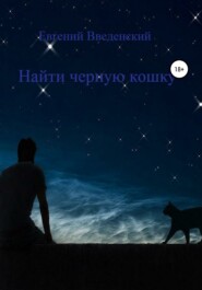 бесплатно читать книгу Найти чёрную кошку автора Евгений Введенский
