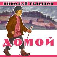 бесплатно читать книгу Домой автора Н. Телешов