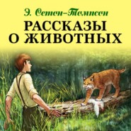 бесплатно читать книгу Рассказы о животных автора Эрнест Сетон-Томпсон