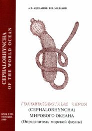 бесплатно читать книгу Головохоботные черви (Cephalorhyncha) Мирового Океана (Определитель морской фауны) автора А. Адрианов