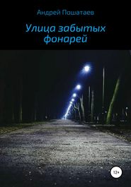 бесплатно читать книгу Улица забытых фонарей автора Андрей Пошатаев