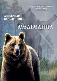 бесплатно читать книгу Медведица автора Александр Кельдюшов
