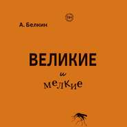 бесплатно читать книгу Великие и мелкие автора Анатолий Белкин