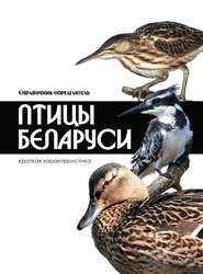 бесплатно читать книгу Птицы Беларуси автора Владимир Адамчик