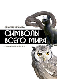 бесплатно читать книгу Символы всего мира автора Мирослав Адамчик