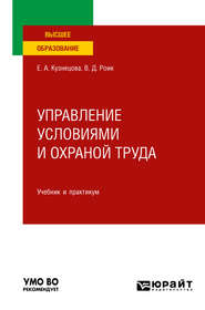 бесплатно читать книгу Управление условиями и охраной труда. Учебник и практикум для вузов автора Валентин Роик