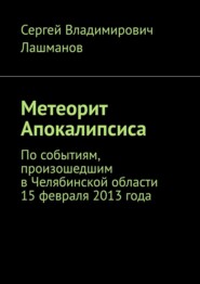 бесплатно читать книгу Метеорит Апокалипсиса. По событиям, произошедшим в Челябинской области 15 февраля 2013 года автора Сергей Лашманов
