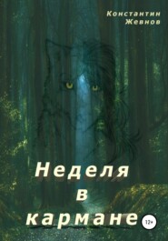 бесплатно читать книгу Неделя в кармане автора Константин Жевнов