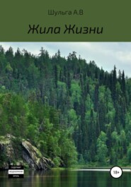 бесплатно читать книгу Жила Жизни автора Андрей Шульга