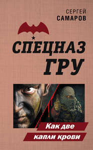 бесплатно читать книгу Как две капли крови автора Сергей Самаров