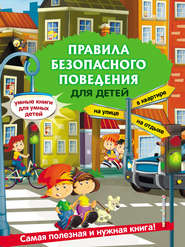 бесплатно читать книгу Правила безопасного поведения для детей автора Юлия Василюк