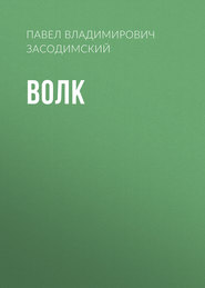 бесплатно читать книгу Волк автора Павел Засодимский