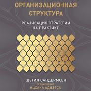 бесплатно читать книгу Организационная структура автора Шетил Сандермоен
