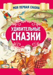 бесплатно читать книгу Удивительные сказки автора Вячеслав Волынец