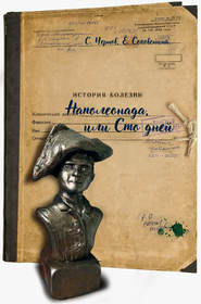 бесплатно читать книгу Наполеонада, или Сто дней автора Елена Соковенина