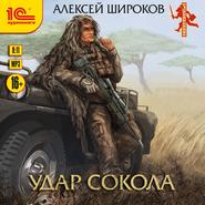 бесплатно читать книгу Удар сокола автора Алексей Широков