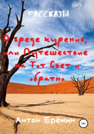 бесплатно читать книгу О вреде курения, или Путешествие на Тот Свет и обратно автора Антон Ерёмин