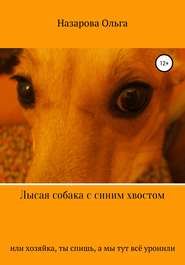 бесплатно читать книгу Лысая собака с синим хвостом, или хозяйка, ты спишь, а мы тут всё уронили! автора Ольга Назарова