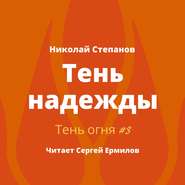 бесплатно читать книгу Тень надежды автора Николай Степанов