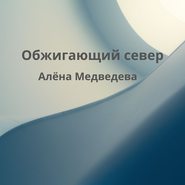 бесплатно читать книгу Обжигающий север автора Алёна Медведева