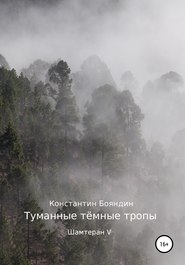 бесплатно читать книгу Туманные тёмные тропы автора Константин Бояндин