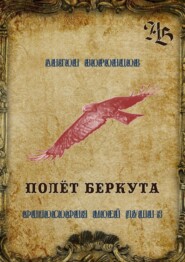 бесплатно читать книгу Полёт беркута. Философия моей души – 3 автора Антон Воронцов