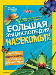 бесплатно читать книгу Большая энциклопедия насекомых автора Нэнси Гонович