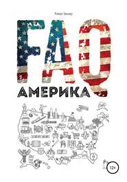 бесплатно читать книгу FAQ Америка автора Роман Зинзер