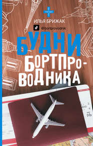 бесплатно читать книгу Будни бортпроводника автора Илья Брижак