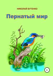 бесплатно читать книгу Пернатый мир автора Николай Бутенко
