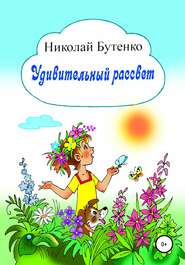 бесплатно читать книгу Удивительный рассвет автора Николай Бутенко