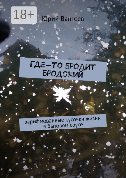 Где-то бродит Бродский. Зарифмованные кусочки жизни в бытовом соусе