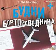 бесплатно читать книгу Будни бортпроводника автора Илья Брижак