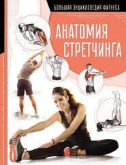 бесплатно читать книгу Анатомия стретчинга автора Наталья Степук