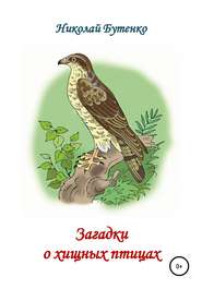 бесплатно читать книгу Загадки о хищных птицах автора Николай Бутенко