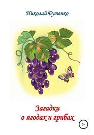 бесплатно читать книгу Загадки о ягодах и грибах автора Николай Бутенко