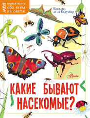 бесплатно читать книгу Какие бывают насекомые? автора Камилла Бедуайер